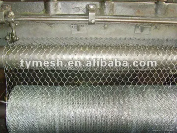 bird cage chicken wire mesh