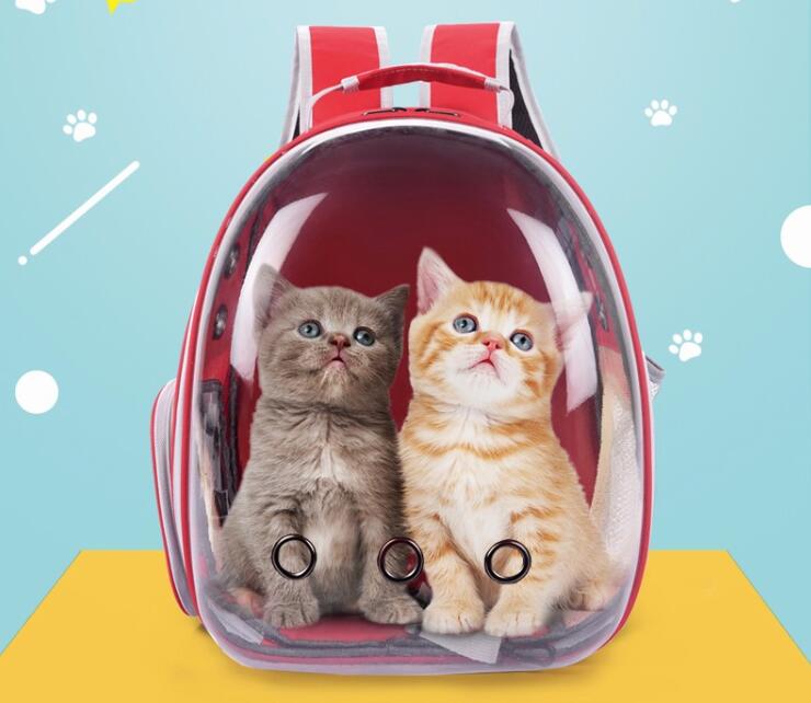 Pet Cat Travel Carrier