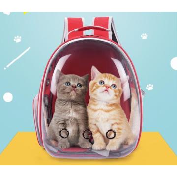 Carrier de voyage pour chat de compagnie