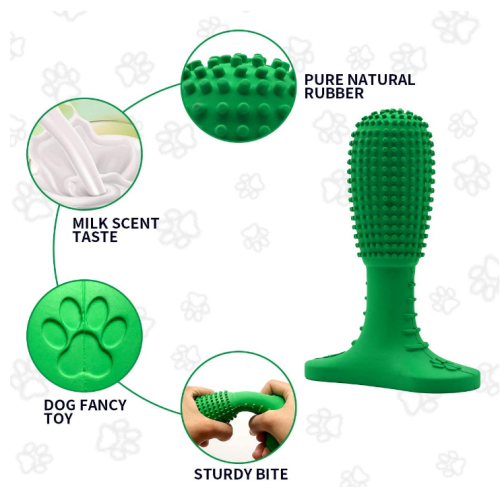 Jouet à dents de brosse à dents de chewing-jouet à mâcher de chien de silicone gratuit BPA