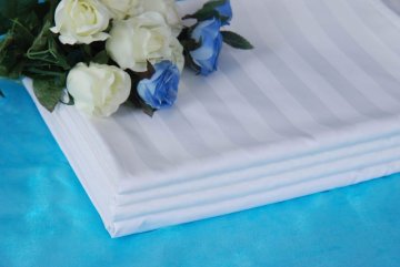 T-240 Stripe White Bed Sheet For Hotel