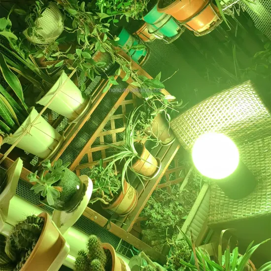 Wireless Rechargeable Color LED Garden Ball Light for Wedding Party and DJ Uplighting