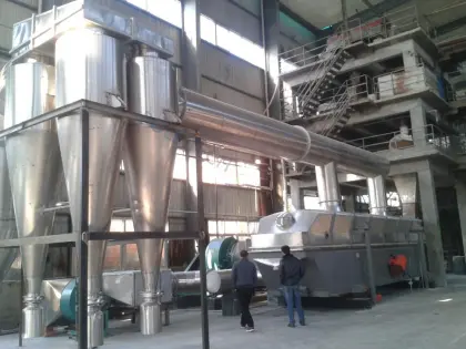 Edible salt vibrating fluid bed dryer Salt dryer