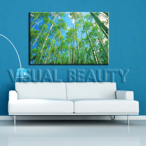 High Quality Natural Tree Photo on Canvas (SJMD5572)