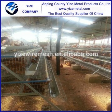 folding chicken cage/chicken cage design/broiler chicken cage