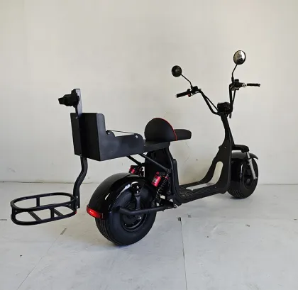 Electric Golf Scooters and Cart Motors for US/European Warehouses