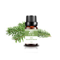 High Quality Pure Natural Fir Essential Oil for Aroma
