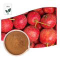 High Quality Hawthorn Berry Extract Powder