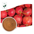 Hawthorn Berry Extract Powder Fruit Juice Powder