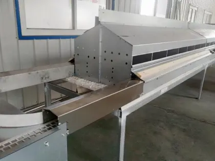 Automatic chicken egg collection box