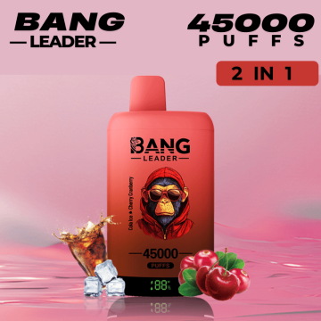 Hot Bang Leader 45000 Disposable Boxes Of Puff Bars