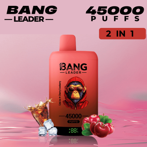 Hot Bang Leader 45000 Disposable Boxes Of Puff Bars