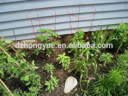 Tomato Growing Stent