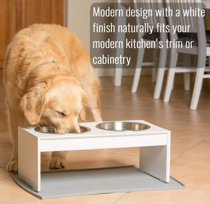 Stainless Steel Raised Pet Bowls