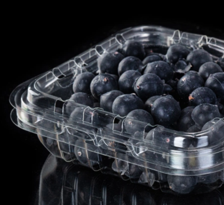 Recyclable disposable fruit packaging box