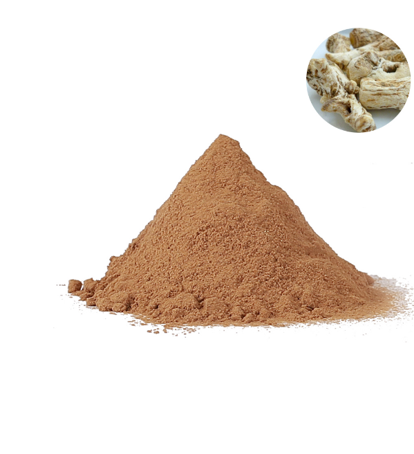 Angelica Extract Png