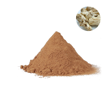 Free Shipping Siberian Chaga Mushroom Extract Powder