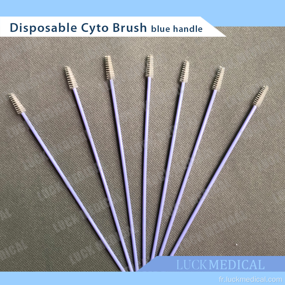 Cytobrush à brosse cervicale jetable