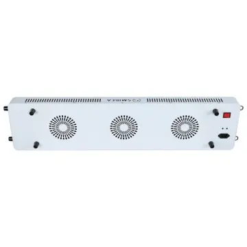 Red Light Therapy Bulbs For Beauty Salon