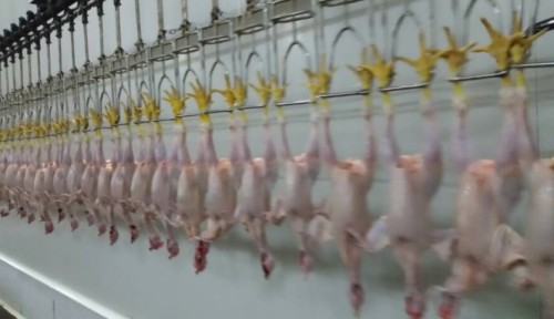 ligne de suspension de poulet