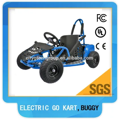 1000W electric motor for go kart, mini go kart for kids(TBG 01-1000W)