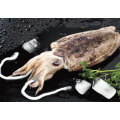 /company-info/1043294/caphalopod-series/seafood-and-frozen-whole-round-cuttlefish-60293427.html