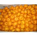 Juicy sweet baby mandarin Nanfeng