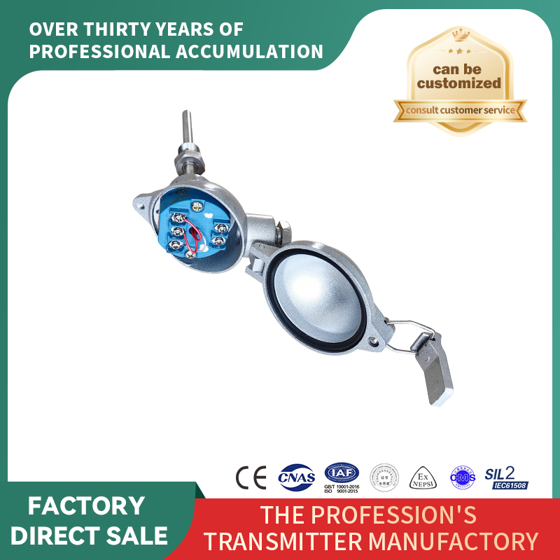 Senzor de termocuplu de tip snap-on personalizabil