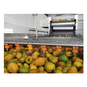 Mango Pulp Production Line Equipment and Processes