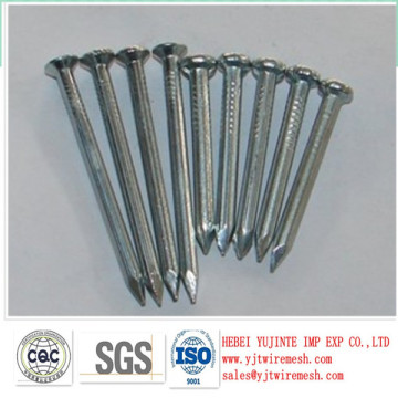 Competitive price Concrete Nails!! Fluted Shank Concrete Nails Factory on Hot Sale