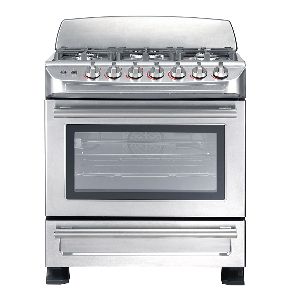 Gas Range Stove