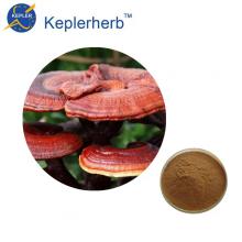 Reishi-Pilz-Extrakte Gesundheit &amp; Ärzte