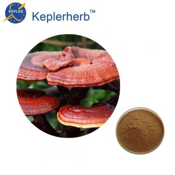 Reine natürliche Verbesserung der Immunität Reishi Pilzextrakt