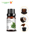 Wholesale Natural Aromatic Spearmint Essential Oil Cosmetic