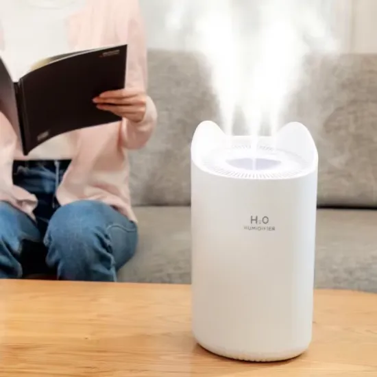 Advanced Dual Nozzle Humidifier System