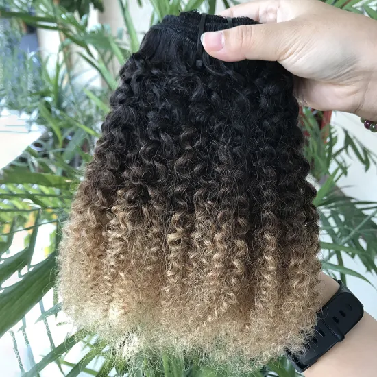 1b/4/27 ombre clips human hair virgin clip in hair extensions afro kinky clip ins human hair