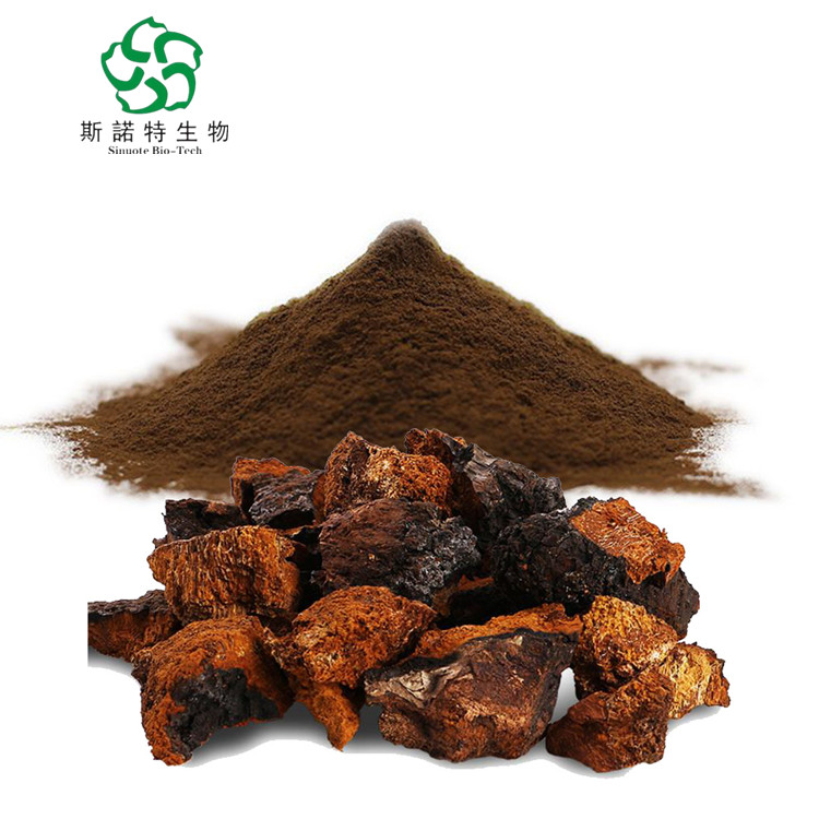 Chaga Powder For Nutrional Supplement