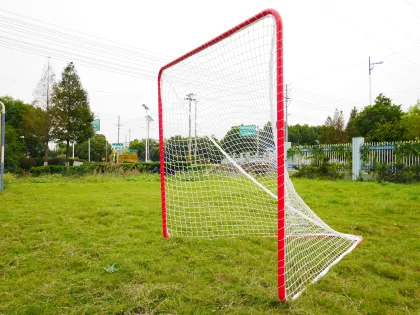 Kids Lacrosse Training Net - Perfect Backyard Lacrosse Goal for Youth Training & Recreation
