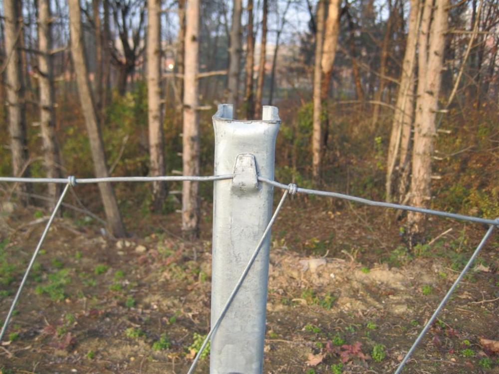 cheap hot dipped galvanized farm fence