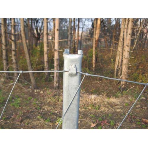 cheap hot dipped galvanized farm fence