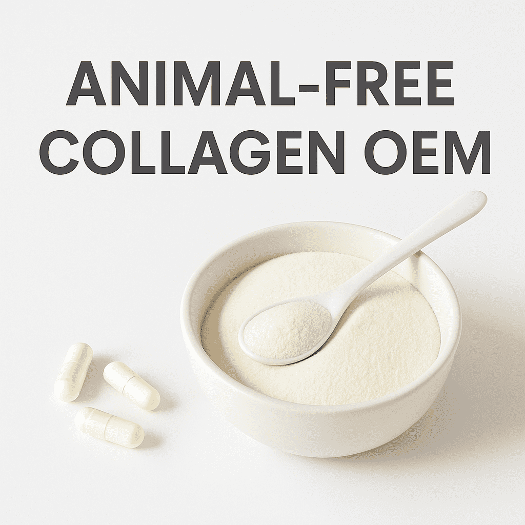 Animal-Free Collagen