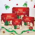 Christmas Xmas Holiday Gift Treat Bags