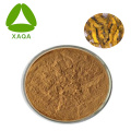 Coptis Chinensis Extract Powder Berberine Hydrochloride 98%