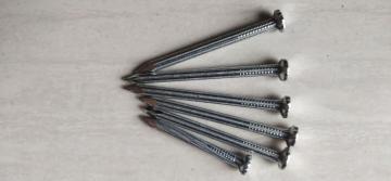 Straight Steel Nail for Sale