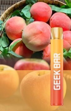 Geek Bar E600 Puffs Disposable Vape 20 Flavours