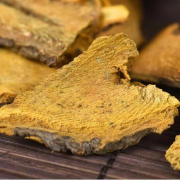 Giant Knotweed Extract Powder In Food And Beverage