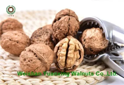 wise choice Chinese walnut kernels light pieces
