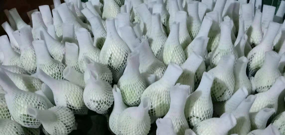 PE Foam Fruit Mesh Making Machine