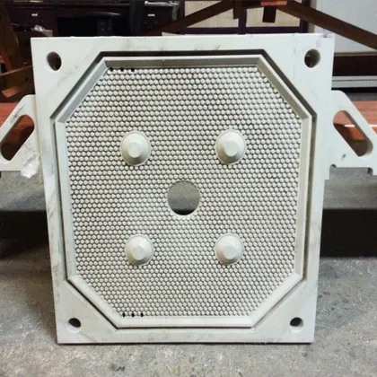 Cangzhou Tian Guan Membrane Filter press Plate