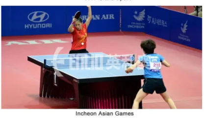High end ITTF Table Tennis Flooring 7.0mm Pro
